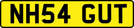 NH54GUT