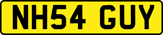 NH54GUY