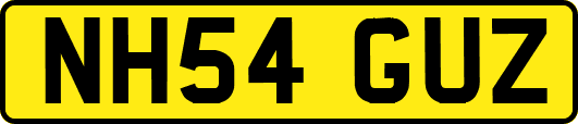NH54GUZ
