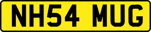 NH54MUG
