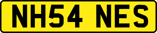 NH54NES