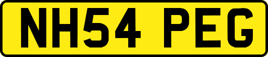 NH54PEG