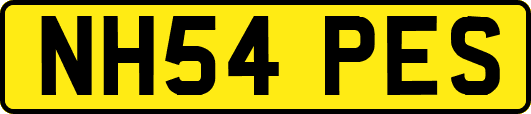 NH54PES