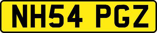 NH54PGZ