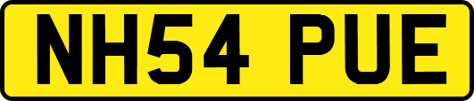 NH54PUE
