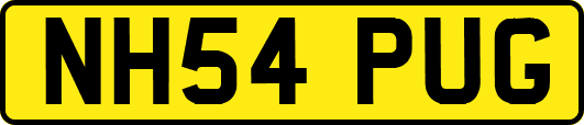 NH54PUG