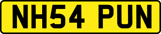 NH54PUN