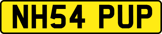 NH54PUP