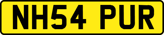 NH54PUR