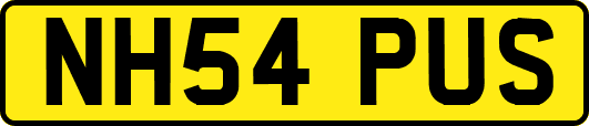 NH54PUS