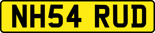 NH54RUD