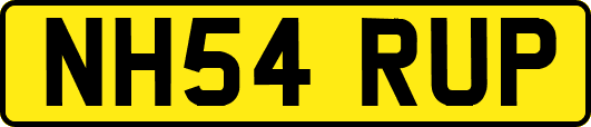 NH54RUP