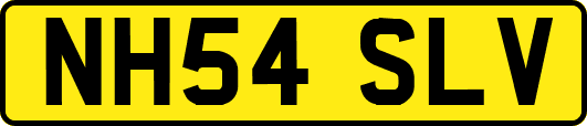 NH54SLV
