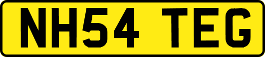 NH54TEG