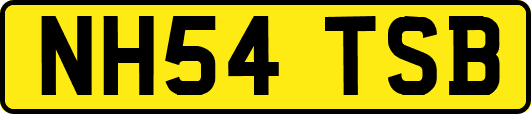 NH54TSB