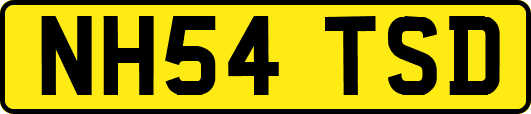 NH54TSD