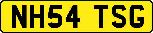 NH54TSG
