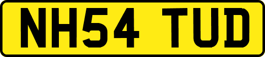 NH54TUD