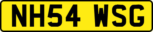 NH54WSG