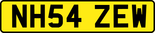 NH54ZEW
