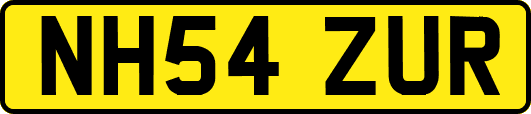 NH54ZUR