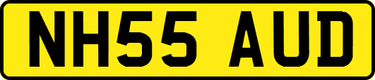 NH55AUD