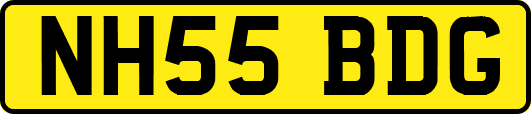 NH55BDG