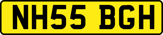 NH55BGH