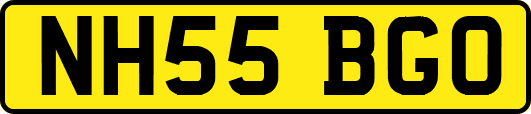 NH55BGO