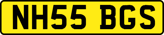 NH55BGS