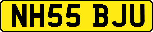 NH55BJU