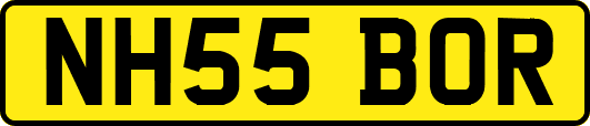 NH55BOR