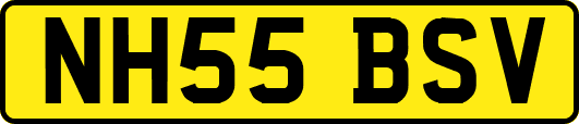 NH55BSV