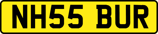 NH55BUR