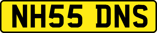 NH55DNS