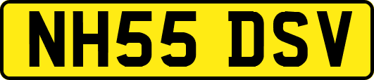NH55DSV