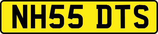 NH55DTS