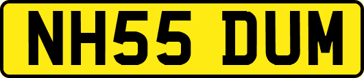 NH55DUM