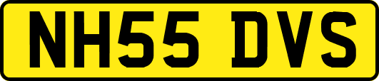 NH55DVS