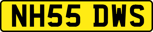 NH55DWS