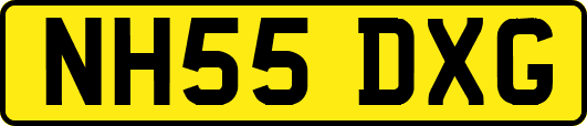 NH55DXG