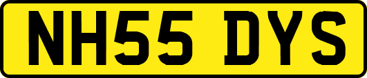 NH55DYS