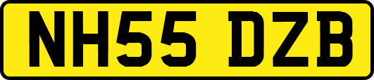 NH55DZB