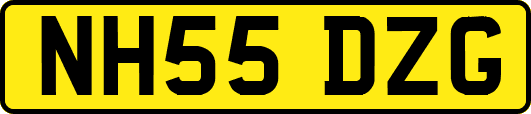 NH55DZG