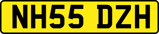 NH55DZH