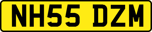 NH55DZM