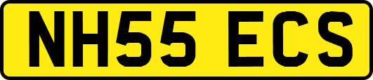 NH55ECS