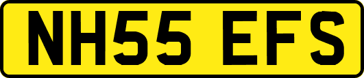 NH55EFS
