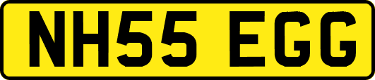 NH55EGG