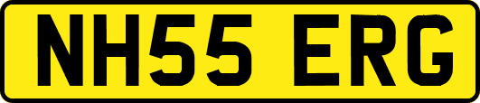 NH55ERG